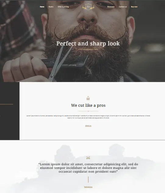 Website 4